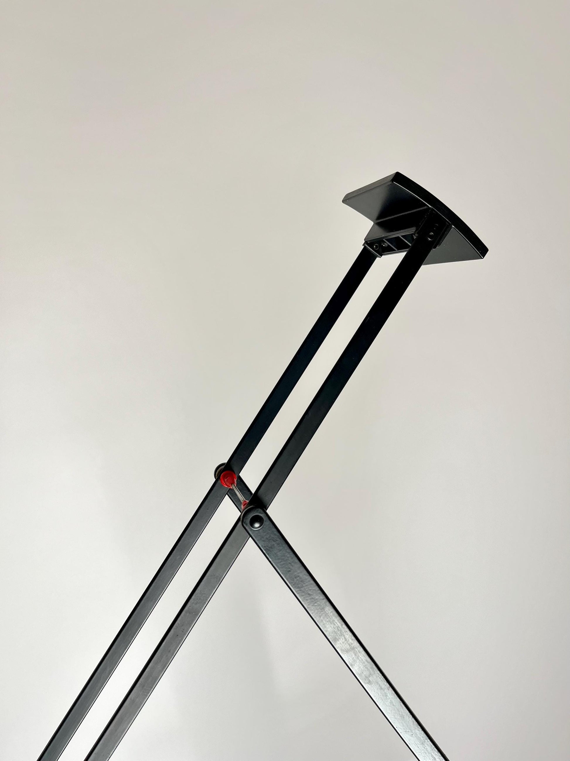 Artemide Tizio Floor & Table Lamp